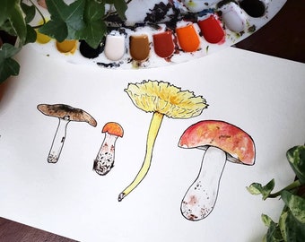Various Mushrooms Original Watercolor Painting l Mushroom Art l Mushroom Illustration