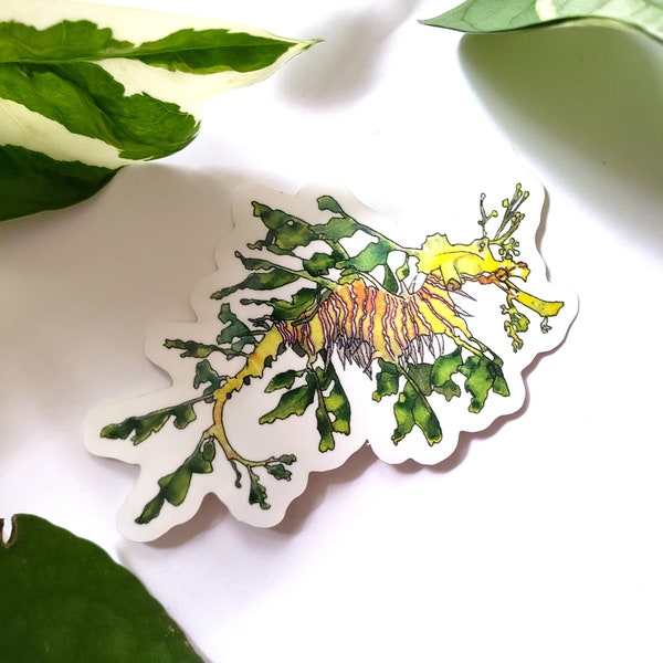 Leafy Seadragon Watercolor Sticker l Seahorse Vinyl Sticker