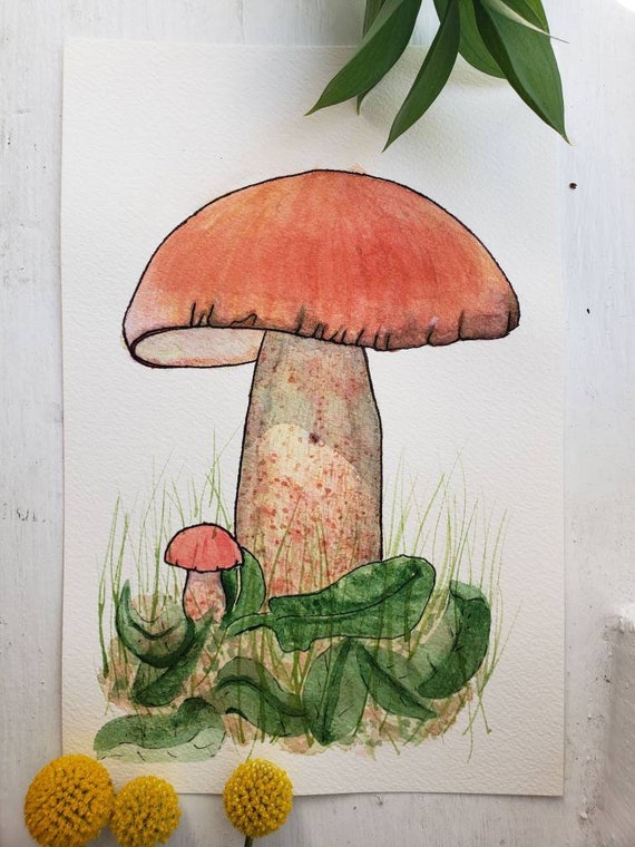 How to Draw Mushrooms – Emily Drawing