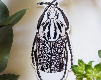 May include: A die-cut sticker featuring a detailed illustration of a beetle. The insect has a white thorax with vertical black stripes and wing covers displaying a complex, mottled black and white pattern. It has dark, segmented legs and antennae.