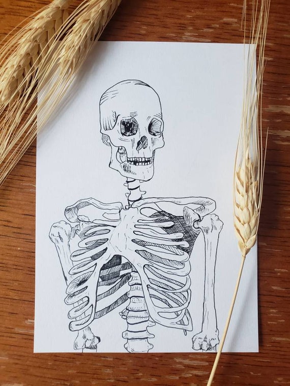 Build-a-skeleton Halloween Wall Decals Peel and Stick - Etsy