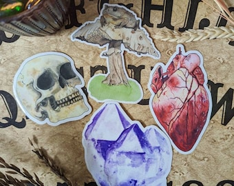 Witchy Sticker Pack l Halloween Stickers l Spooky Decor
