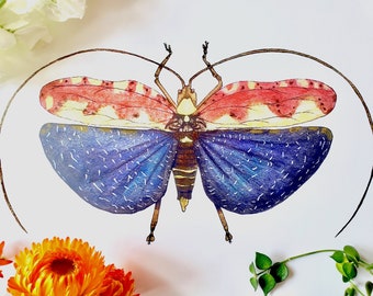 Blatt-imitierende Katydid Print l Aquarell Print l Insekt Illustration