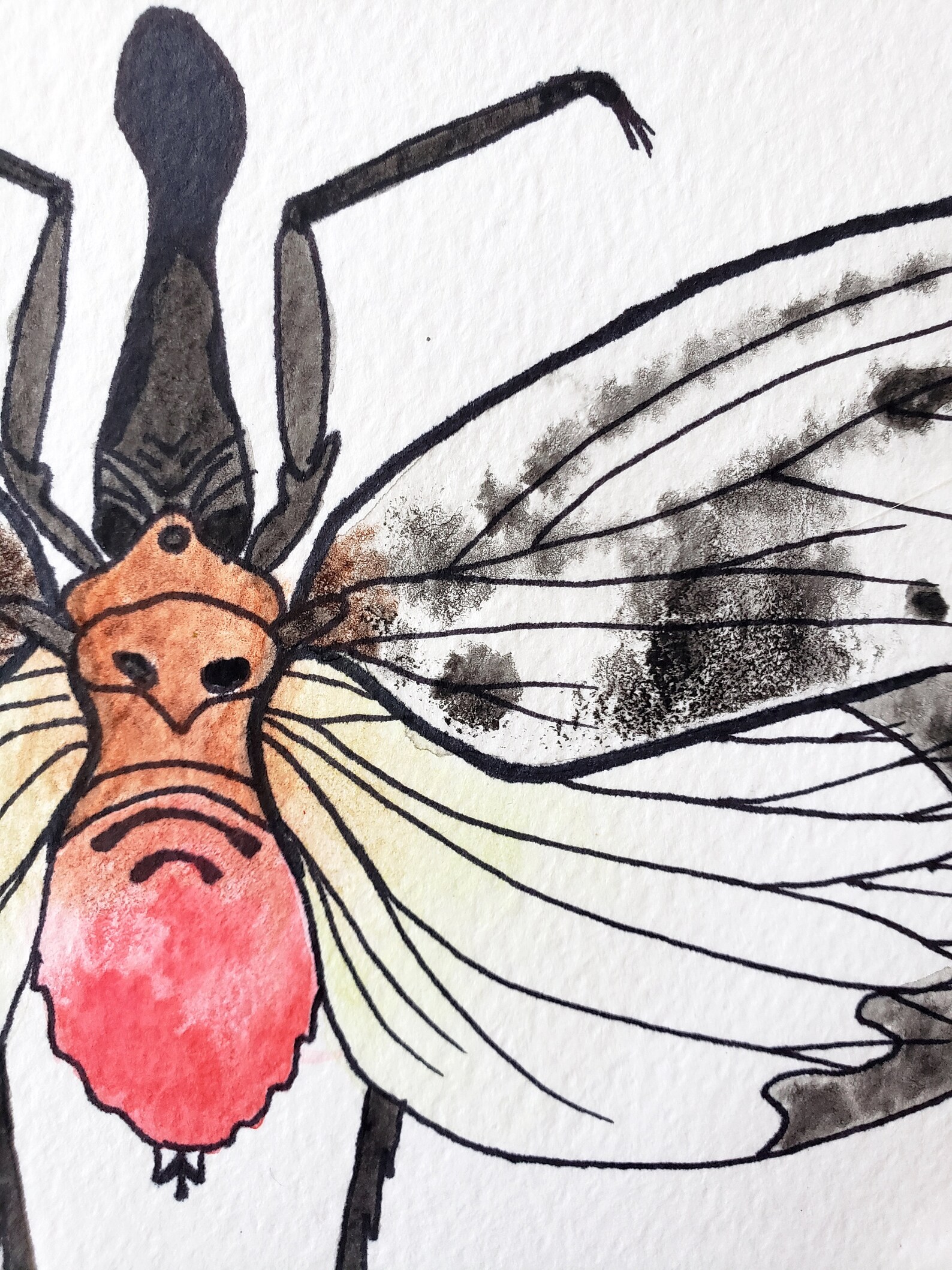 Lanternfly Original Watercolor Painting L Insect Painting L Bug ...