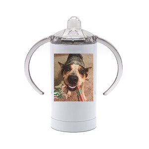 Custom Sippy Cup, Photo Sippy Cup, Personalized Sippy Cup, Picture On A Sippy Cup, Sublimated Sippy Cup, Custom Baby Cup, Infant Cups