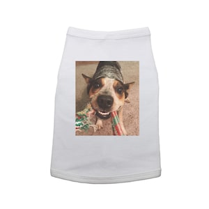Custom Dog Shirt, Photo On Dog Shirt, Picture On Dog Shirt, 100% Polyester, Sublimated Design, Personalized Dog Shirt, Puppy Shirt