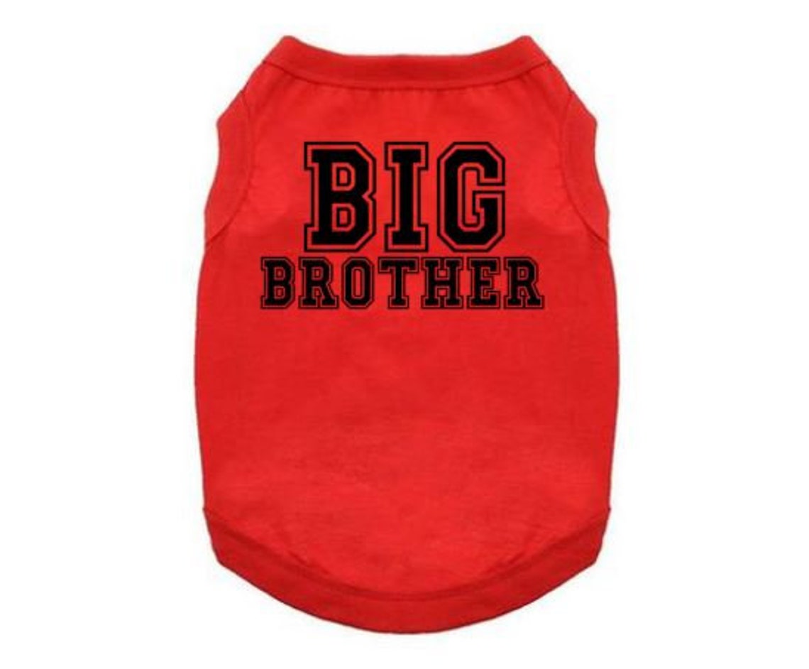Big Brother Dog Shirt Big Brother Puppy T Big Brother Etsy