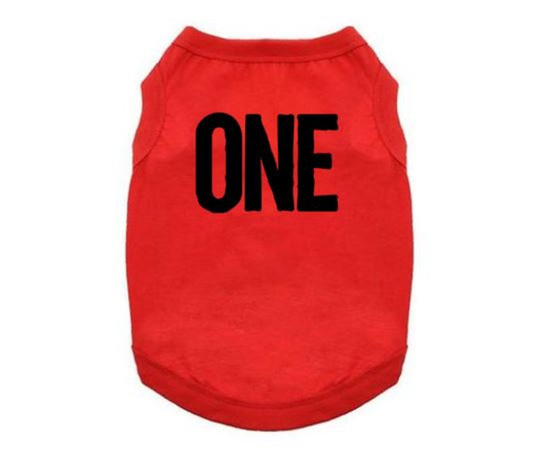 Dog Birthday Shirt, First Birthday, ONE, One Year Old Dog T, Dog's