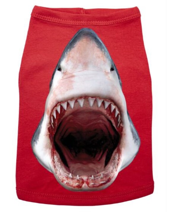 Marca ropa tiburon hotsell