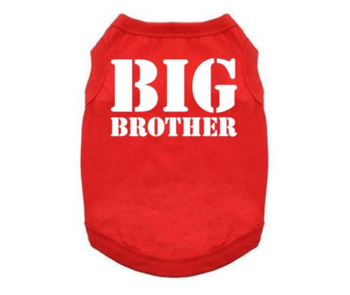 Big Brother Dog Shirt Big Brother Puppy T Big Brother Etsy