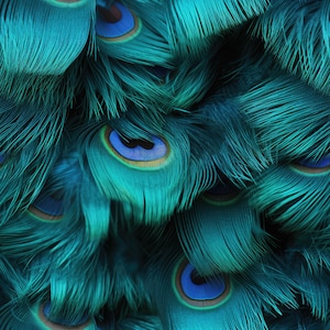Puede incluir: Primer plano de las plumas de un pavo real, mostrando los intrincados detalles de los colores azul, verde e iridiscente.