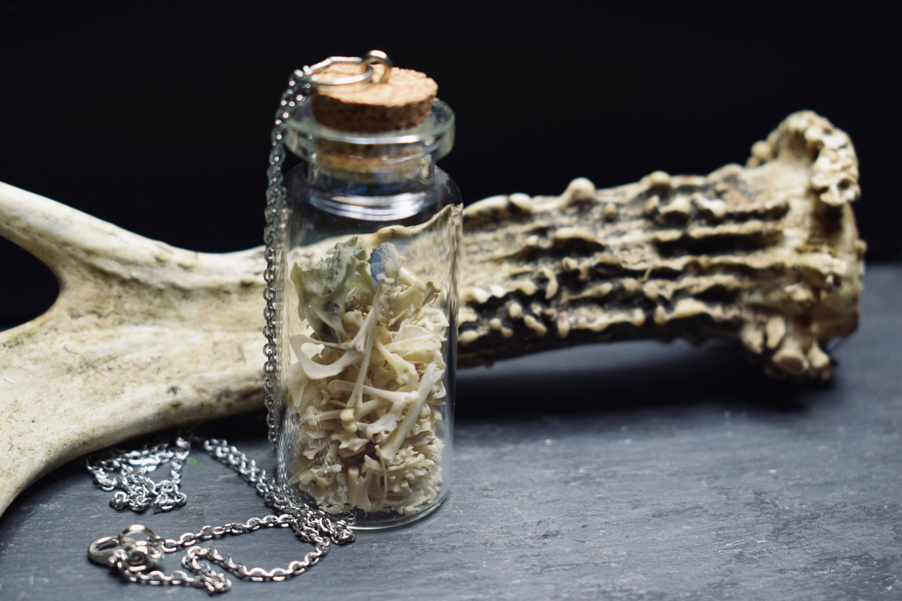 Owl Pellet Bone Vial Necklace - Oddity Jewellery