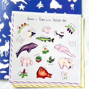 May include: A sheet of stickers with illustrations of Hudson Bay animals and plants. The stickers depict a purple whale, a white polar bear, a green fish, and various berries and flowers. The text "Animals & Plants of the Hudson Bay" is at the top.