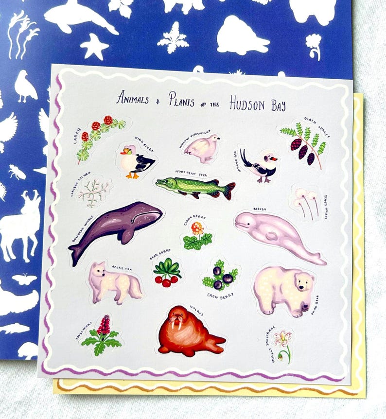 May include: A sheet of stickers with illustrations of Hudson Bay animals and plants. The stickers depict a purple whale, a white polar bear, a green fish, and various berries and flowers. The text "Animals & Plants of the Hudson Bay" is at the top.