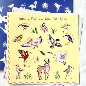 Feuilles d'autocollants pour animaux et plantes - 5 écosystèmes différents - oiseaux des zones humides, créatures marines, créatures de l'étang et plus encore !