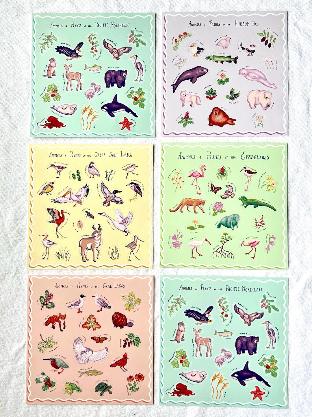 Nature Sticker Sheets - 5 Ecosystems: Great Lakes, Everglades, Great ...