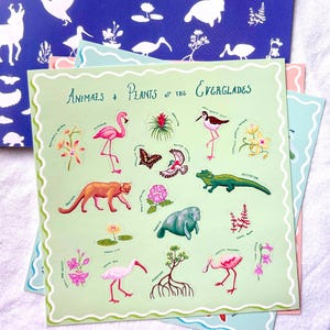 May include: A set of Everglades-themed stickers with illustrations of animals and plants, including a flamingo, alligator, butterfly, and manatee. The text "Animals & Plants of the Everglades" is displayed. The stickers are on a light green background.