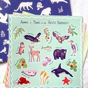 May include: A set of illustrated cards depicting animals and plants of the Pacific Northwest. The main card has a light green border and features drawings of a bald eagle, bear, deer, and orca. The background card is blue with white animal and plant silhouettes.