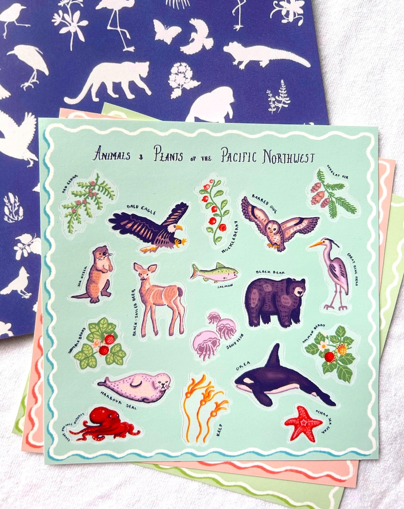 May include: A set of illustrated cards depicting animals and plants of the Pacific Northwest. The main card has a light green border and features drawings of a bald eagle, bear, deer, and orca. The background card is blue with white animal and plant silhouettes.