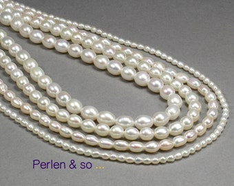 5 freshwater pearls, Rice – white, Ø 2.5 to 6.5 mm, size of your choice