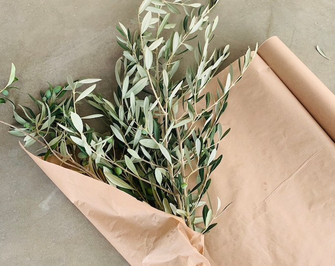 Fresh Cut Dried Olive Branches Etsy