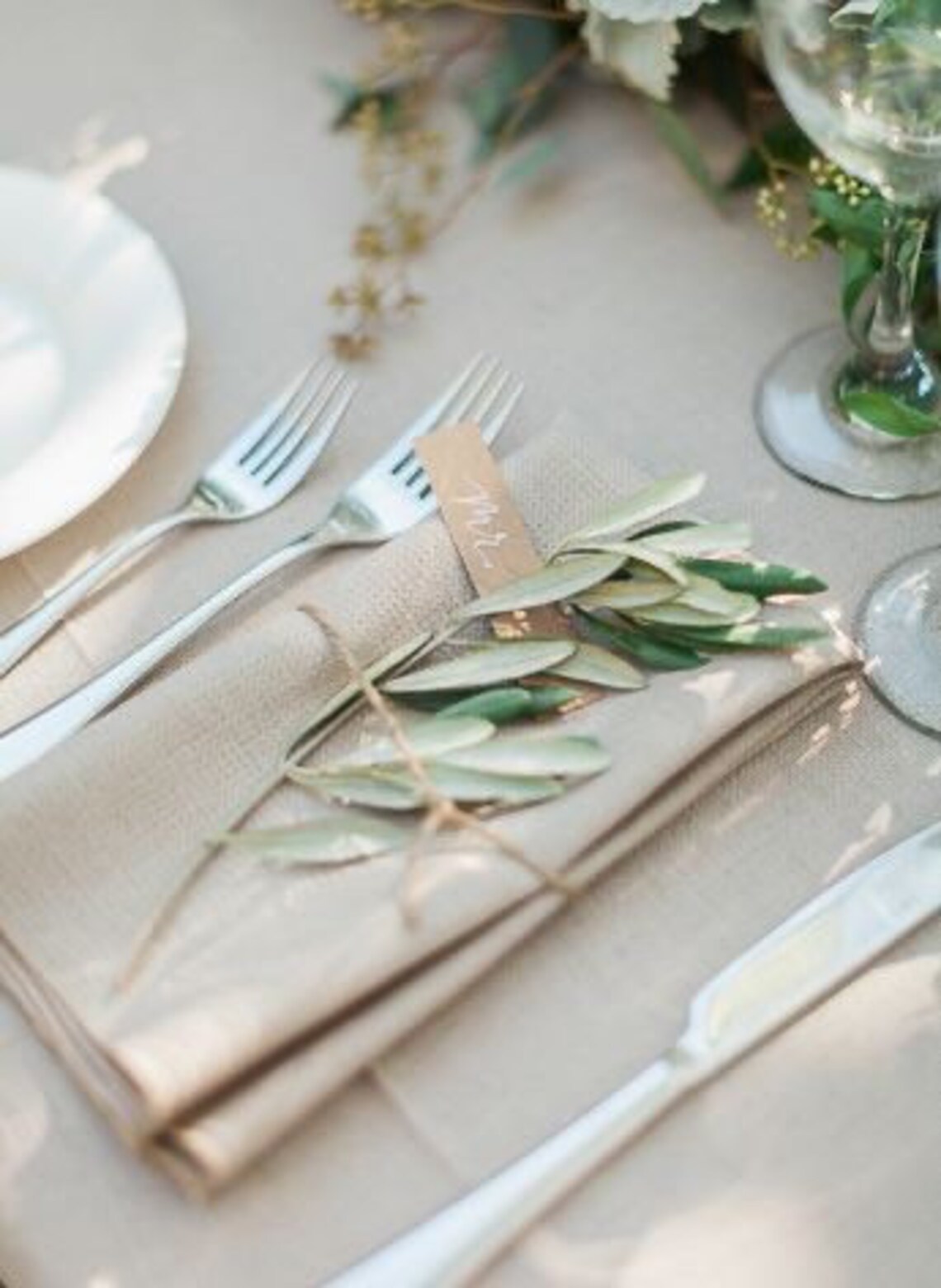 Fresh Cut Dried Olive Branches Etsy