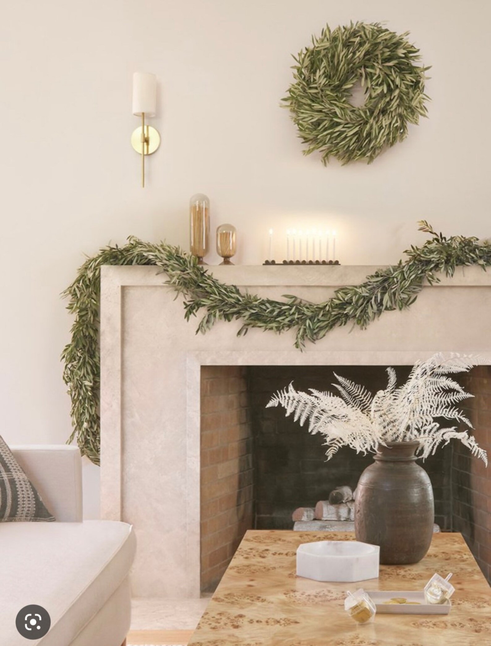 Fresh Cut Dried Olive Branches Etsy