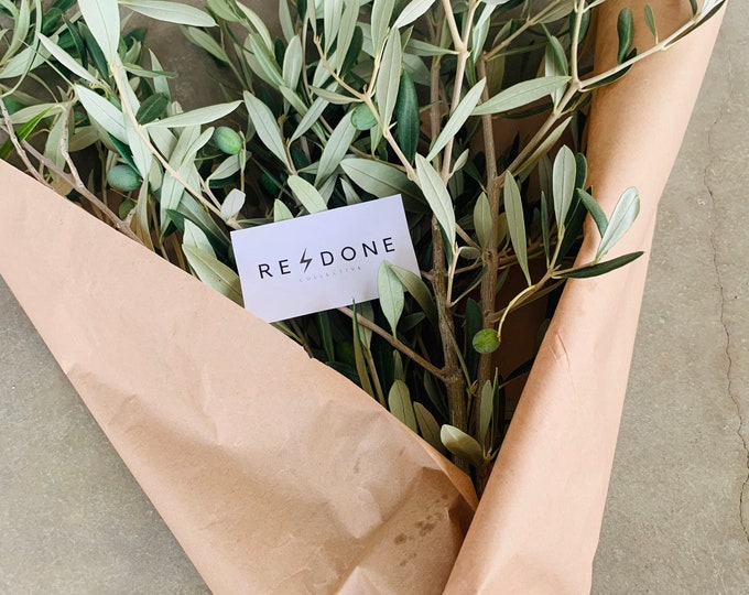 Fresh Cut Dried Olive Branches Etsy