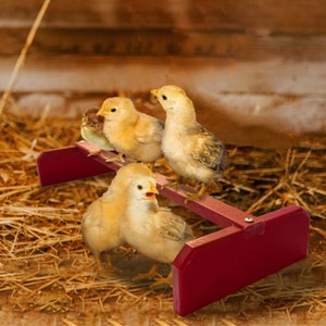 Backyard Barnyard Chicken Roosting Bar Perch Colored for Baby Chicks to Adult Birds. Made in USA! Poultry Habitat, Brooder, Coops or Run