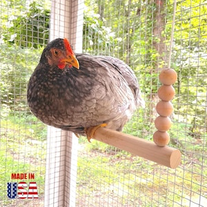 Backyard Barnyard Chicken (Round Bar) Handmade in USA! Wood Perch Ladder for Poultry Run Rooster Hens Chicks Pet Parrots Pollos Birds