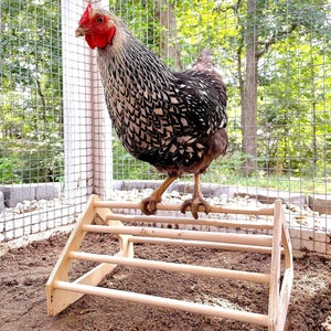 Chicken Swing Toy For Coop Natural Safe Wooden Accessories HANDMADE IN