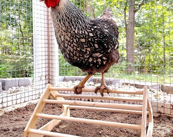 Chick Perch Strong Wooden Jungle Gym Roosting Bar Handmade in USA!!! Chicken Toys for Coop and Brooder for Baby Chicks