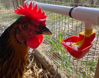 Backyard Barnyard 4 Pack NO PECK Poultry Cup with 1/2" PVC Tee Waterer Drinker for Chicken Ducks Quail