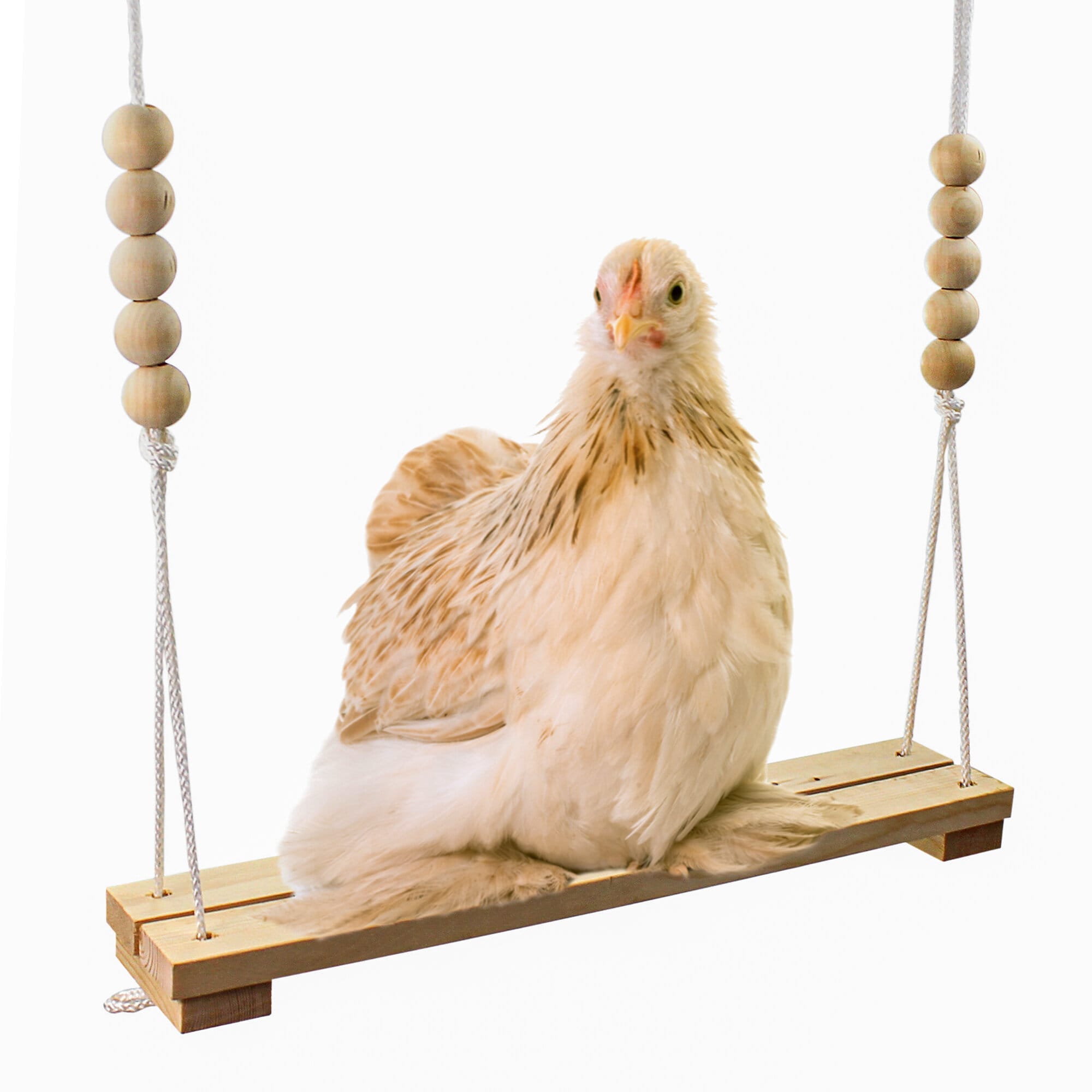 Wooden Swing Chicken Bird Swing,Chicken Perch,Natural Wooden
