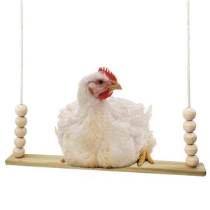 Backyard Barnyard Chicken Swing Handmade in USA Flat Bar Perch for Poultry Rooster Hens Chicks Pet Parrots Macaw Entertainment for Birds Bild 2