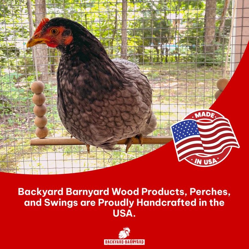 Backyard Barnyard Chicken Swing Handmade in USA Flat Bar Perch for Poultry Rooster Hens Chicks Pet Parrots Macaw Entertainment for Birds Bild 9