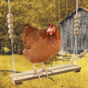 Chicken Swing Toy for Coop with Wooden Accessories HANDMADE IN USA! For Poultry Run Rooster Hens Chicks Pet Parrots Entertainment for Birds