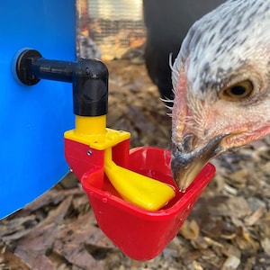 Backyard Barnyard 2 Pack NO PECK Poultry Cup Waterer Drinker for Chicken Ducks Quail