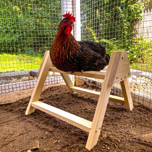 Chicken Roosting Perch Made in The USA! Roost Toys and Accessories for Coop Heavy Duty Solid Handcrafted Wood Construction for Birds