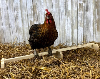 Backyard Barnyard 30" Chicken Perch Roosting Bar Made in USA! Solid Wood Accessories and Toys for Coop and Brooder for Large Bird Chicks