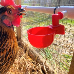 Backyard Barnyard 2 Pack Automatic Poultry Waterer Cup Drinker for Chickens Ducks Quail