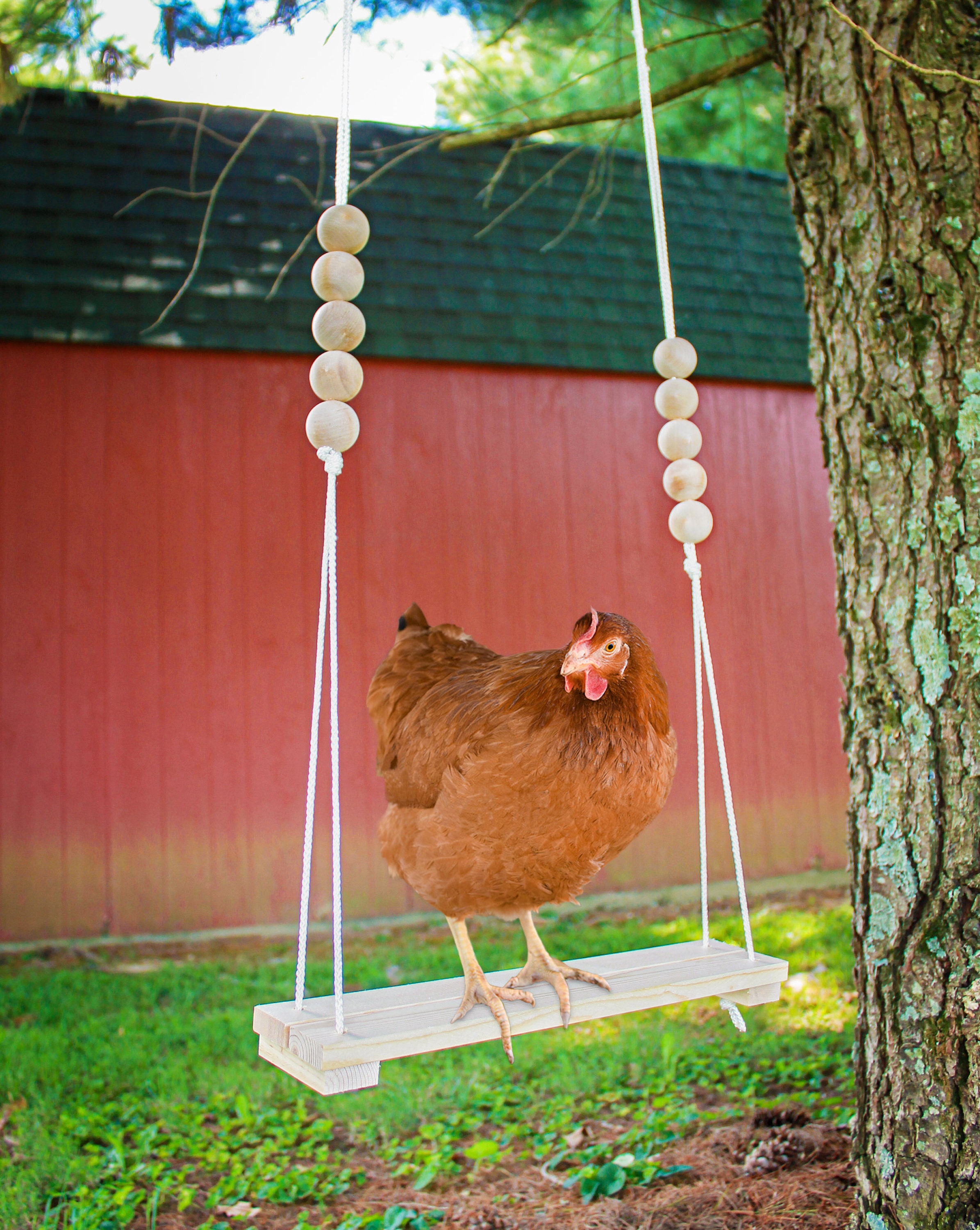 Chicken Swing Toy for Coop With Wooden Accessories HANDMADE IN Etsy