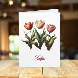 Confezione da 5 biglietti d'auguri e buste con fiori di tulipano in stile vintage e stravaganti - Set regalo di cancelleria shabby chic floreale e botanico