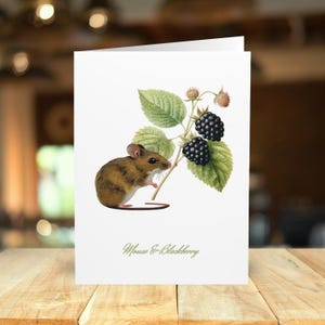5er-Pack Mystic Maus & Brombeere Illustration Grußkarten mit Umschlägen, Geschenkkarten im Vintage-Stil, Briefpapier-Set