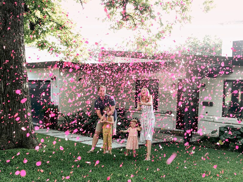 Gender Reveal Confetti Cannon 12 Same Day Shipping Etsy