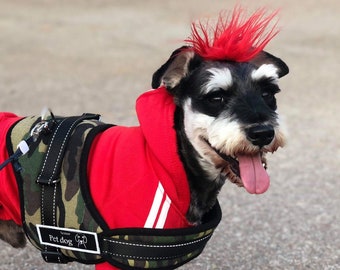 Dog Mohawk size Small