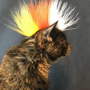 Candy Corn