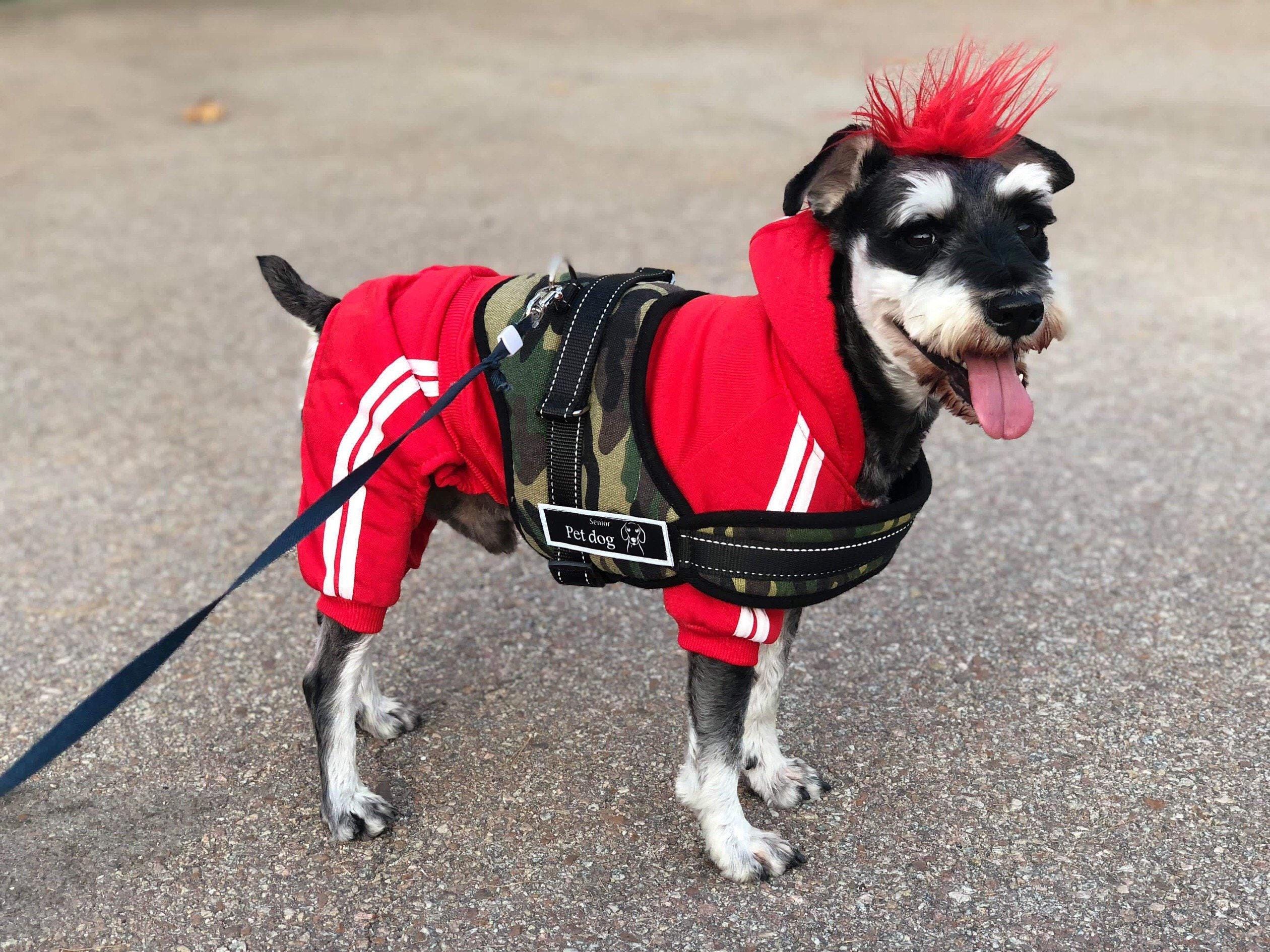 Goth Dog Clothes: Unleash Dark Canine Style