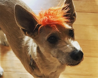 Dog Mohawk size Medium