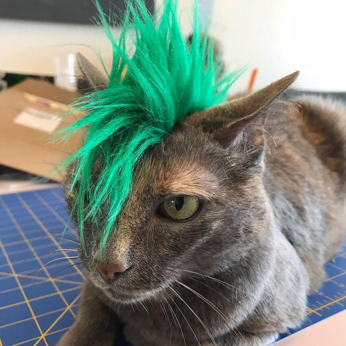 Cat Mohawk Etsy